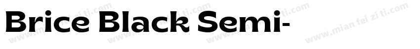 Brice Black Semi字体转换